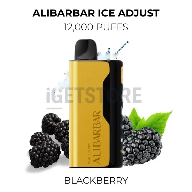 Alibarbar Ice Adjust 12000 Puffs โ Blackberry