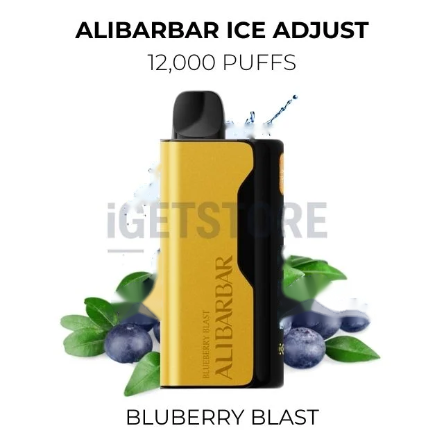 Alibarbar Ice Adjust 12000 Puffs โ Bluberry Blast