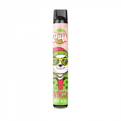 Panda Puff Mint Disposable Vape